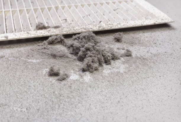 Best Dryer Vent Cleaning Services  in Hughesville, PA