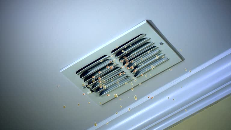 Best Air Duct Mold Removal  in Hughesville, PA