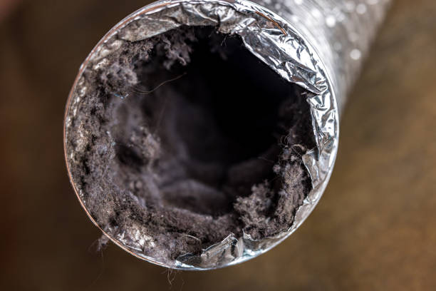 Best Emergency Air Duct Cleaning  in Hughesville, PA