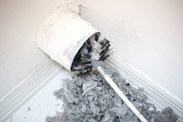 Best HVAC Duct Inspection Services  in Hughesville, PA
